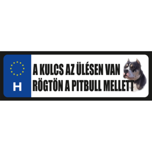 A kulcs az ülésen van rögtön a pitbull mellett vicces rendszámtábla minta