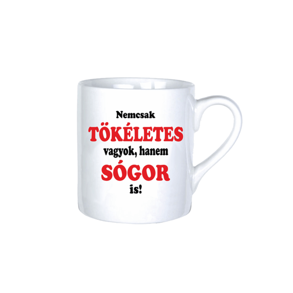 Nemcsak tökéletes vagyok, hanem sógor is vicces bögre termék kép